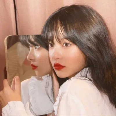 动物园之夜